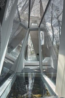 Budynok in the forest on VDNG, Kyiv - apartment by the day