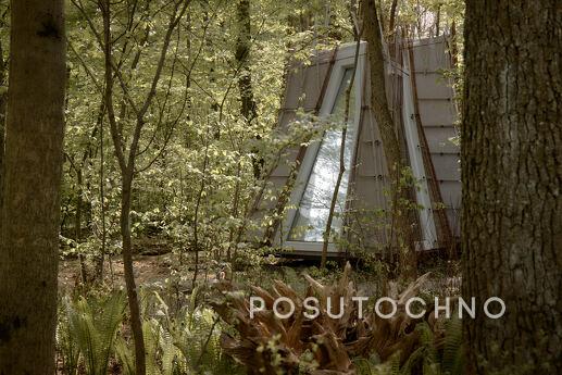 Budynok in the forest on VDNG, Kyiv - apartment by the day