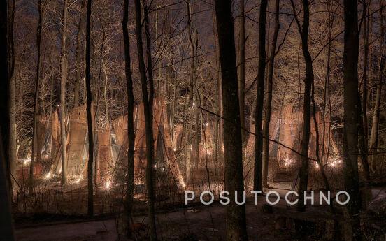 Budynok in the forest on VDNG, Kyiv - apartment by the day