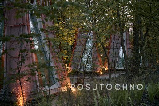 Budynok in the forest on VDNG, Kyiv - apartment by the day