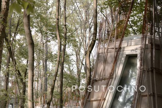 Budynok in the forest on VDNG, Kyiv - apartment by the day