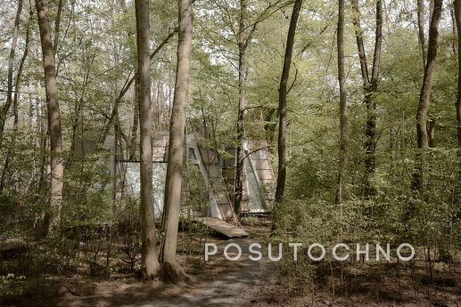 Budynok in the forest on VDNG, Kyiv - apartment by the day