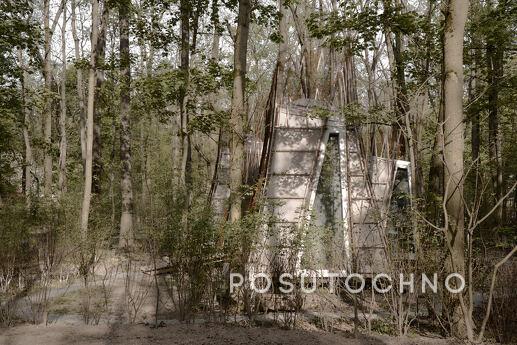 Budynok in the forest on VDNG, Kyiv - apartment by the day