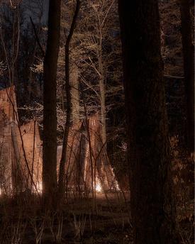 House in the forest at VDNG, Kyiv - apartment by the day