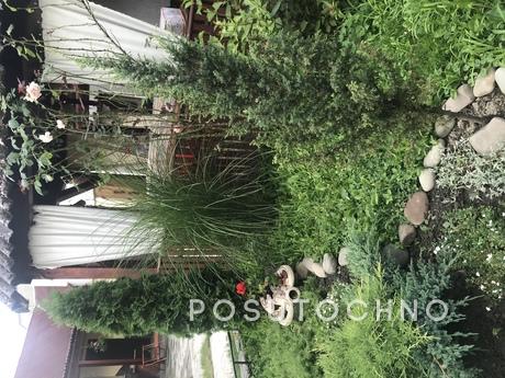 Rent of living room near thermal pools, Berehovo - apartment by the day