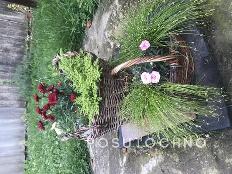 Rent of living room near thermal pools, Berehovo - apartment by the day