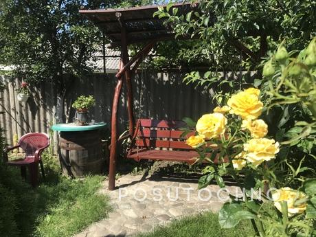 Rent of living room near thermal pools, Berehovo - apartment by the day