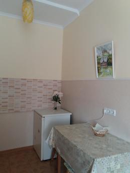 Apartment in the heart of the Old Town, Kamianets-Podilskyi - apartment by the day