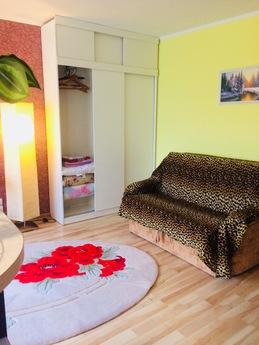 Room for 1-8 guests. Avenue. Mistress, Chernivtsi - apartment by the day