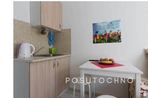 Studio apartment in Moscow, Moscow - apartment by the day