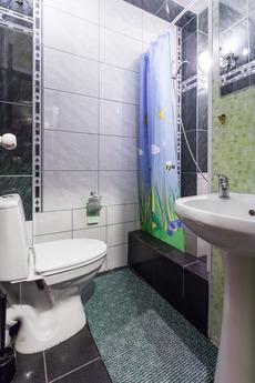 Home comfort in a mini-hotel on Petrogra, Saint Petersburg - apartment by the day