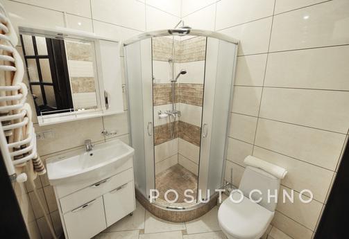 One bedroom apartment in the center, Lviv - apartment by the day