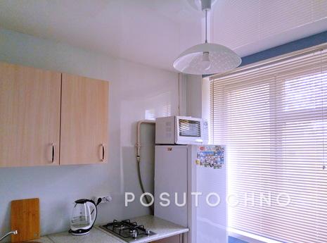 1 bedroom apartment for rent, Moscow - apartment by the day