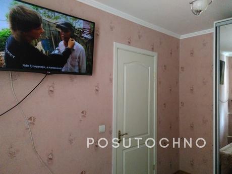 the very center, cozy, clean, beautiful, Vinnytsia - apartment by the day