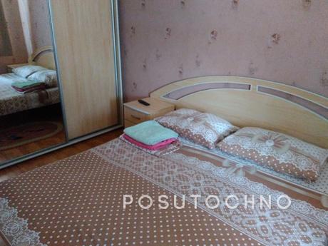 the very center, cozy, clean, beautiful, Vinnytsia - apartment by the day