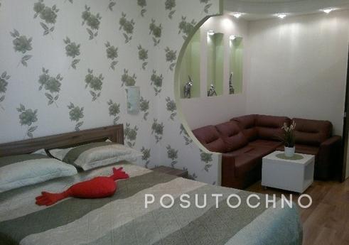 Daily rental rent studio apartment with excellent repair and