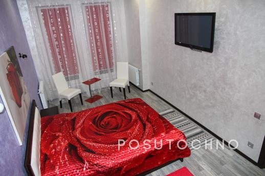 apartment in the center of Truskavets, Truskavets - apartment by the day