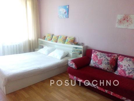 The historic city center, Kazan - apartment by the day