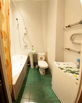 One-room studio in the center, Tyumen - apartment by the day