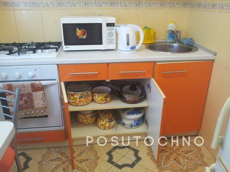 Apartment with repair near the metro, Kharkiv - apartment by the day
