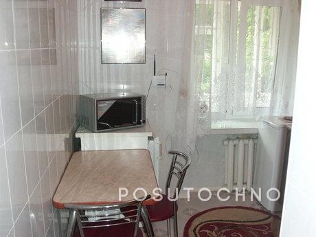 The center, Wi-Fi, washing machine, Truskavets - apartment by the day