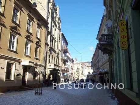 1-bedroom apartment in Lviv, Lviv - apartment by the day