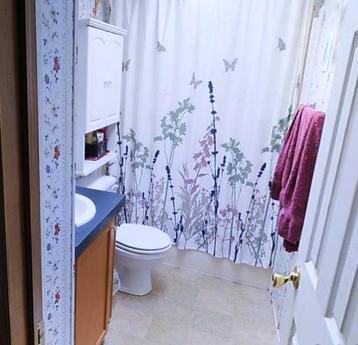 2 bedroom apartment for rent, Moscow - apartment by the day