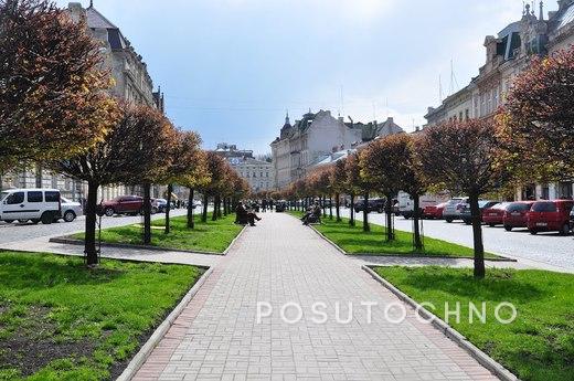 Comfortable apartment in the center, Lviv - apartment by the day