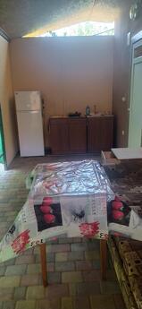 Rooms in the private sector, Chernomorsk (Illichivsk) - apartment by the day