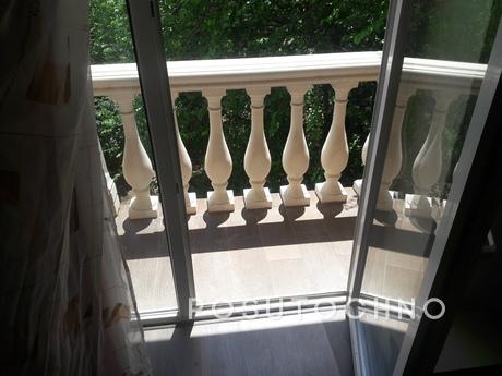 1 bedroom apartment for rent, Odessa - apartment by the day