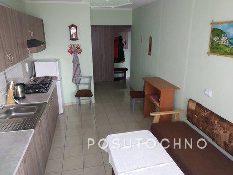 1 bedroom apartment in the center, Ivano-Frankivsk - apartment by the day