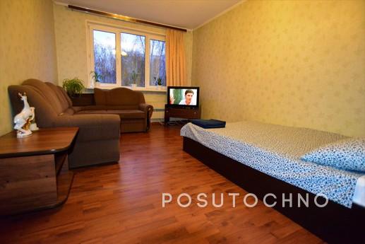 Daily Novgorod 14, Moscow - apartment by the day