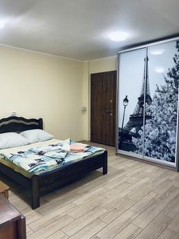 1 apartment in the center for 2-3 cholovka. In the apartment