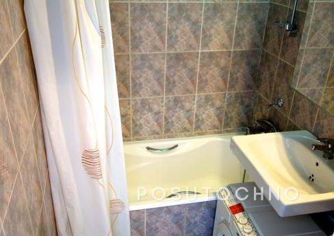 Spacious studio apartment near metro, Moscow - apartment by the day