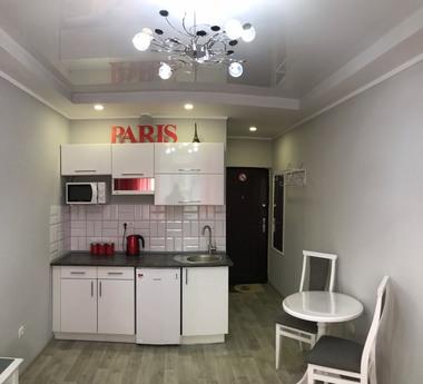 Romantic studio apartment 'PARIS', Irpin - apartment by the day