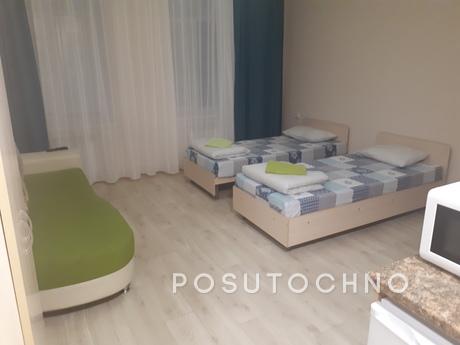Number of beds 4 (sofa and 2 beds) The apartment is located 