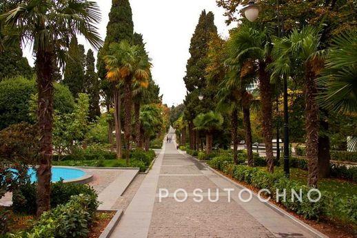Daily LCD "Omega" studio, Yalta - apartment by the day