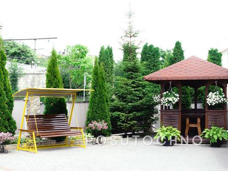 Tours in sanatoriums and villas of Trusk, Truskavets - apartment by the day
