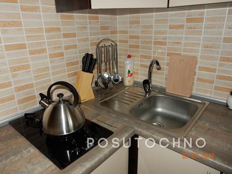 2 bedroom apartment for rent, Chernomorsk (Illichivsk) - apartment by the day