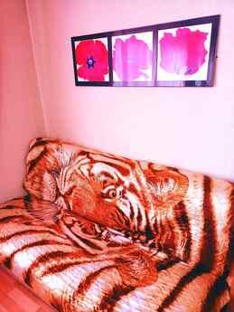 Spacious apartment in the center !!!, Nizhnekamsk - apartment by the day