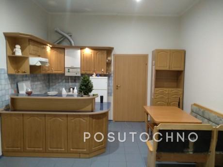 Zatishna apartment in the center mіsta., Lviv - apartment by the day