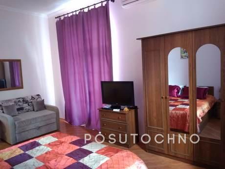 cozy spacious apartment with a beautiful view of the Ponoram