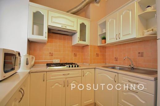 Cozy apartment on Pushkinskaya 7, Saint Petersburg - apartment by the day