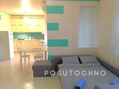 1 room studio in the center 630, Uzhhorod - apartment by the day