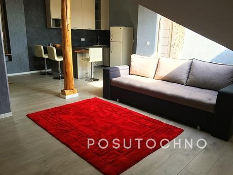 Beautiful studio apartment with a modern renovation in the c
