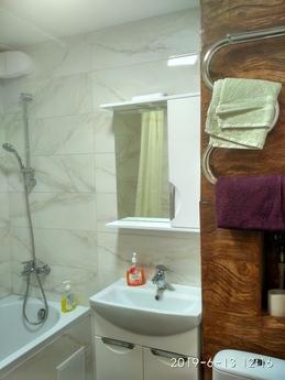 Apartment in the center, Zaporizhzhia - apartment by the day