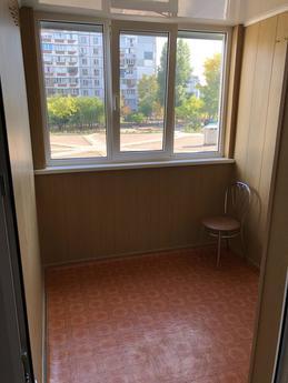Clean apartment near the Dnieper, Cherkasy - apartment by the day
