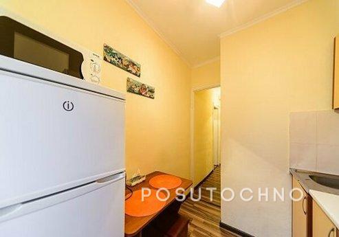 Cozy studio on the Pechersk metro statio, Kyiv - apartment by the day