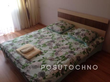 The apartment is next to the park, Uzhhorod - apartment by the day
