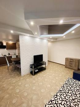 Daily 2-room. apartment Lux, Kyiv - apartment by the day